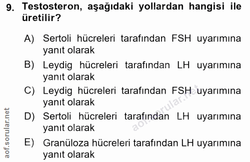 9. soru: Testosteron, aşağıdaki yollardan hangisi ile üretilir? A) Sertoli hücreleri tarafından FSH uyarımına yanıt olarak B)…