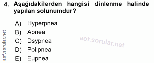 4. soru: Aşağıdakilerden hangisi dinlenme halinde yapılan solunumdur? A) Hyperpnea B) Apnea C) Dsypnea D) Polipnea E) Eupnea
