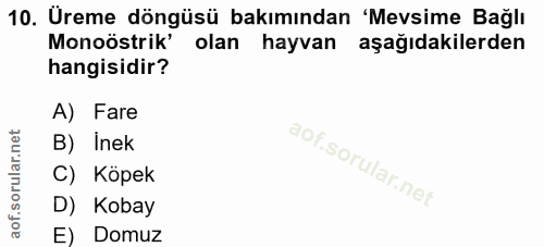 10. soru: Üreme döngüsü bakımından 'Mevsime Bağlı Monoöstrik' olan hayvan aşağıdakilerden hangisidir? A) Fare B) Inek l C) Köpe…