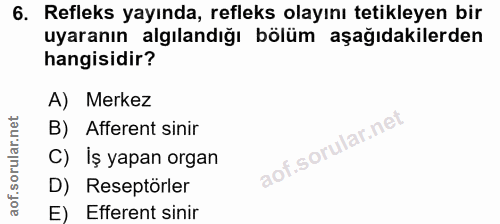 6. soru: Refleks yayında, refleks olayını tetikleyen bir uyaranın algılandığı bölüm aşağıdakilerden hangisidir? A) Merkez B) A…
