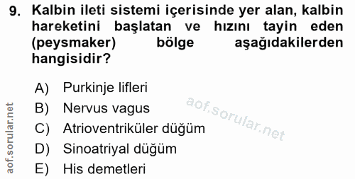 9. soru: Kalbin ileti sistemi içerisinde yer alan, kalbin hareketini başlatan ve hızını tayin eden (peysmaker) bölge aşağıdaki…