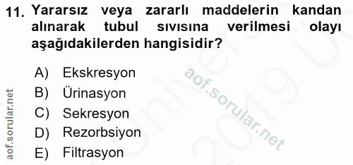 11. soru: Yararsız veya zararlı maddelerin kandan alınarak tubul sIvIsIna verilmesi olayı aşağıdakilerden hangisidir? A) Ekskre…