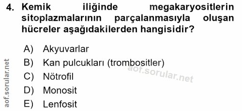 4. soru: Kemik iliğinde megakaryositlerin sitoplazmalarının parçalanmasıyla oluşan hücreler aşağıdakilerden hangisidir? A) Aky…