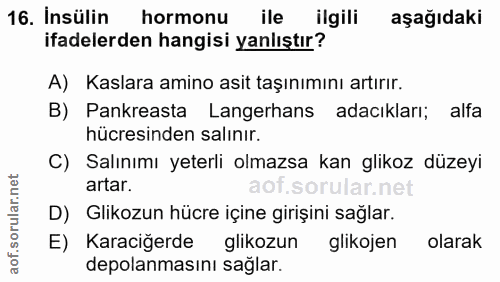 16. soru: İnsülin hormonu ile ilgili aşağıdaki ifadelerden hangisi yanlıştır? A) Kaslara amino asit taşınımını artırır. B) Pank…