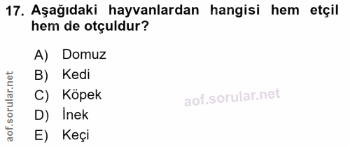 17. soru: Aşağıdaki hayvanlardan hangisi hem etçil hem de otçuldur? A) Domuz B) Kedi ar. C) Köpek D) Inek aof. E) Keçi