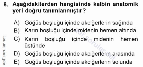 8. soru: Aşağıdakilerden hangisinde kalbin anatomik yeri doğru tanımlanmıştır? A) Göğüs boşluğu içinde akciğerlerin sağında B)…