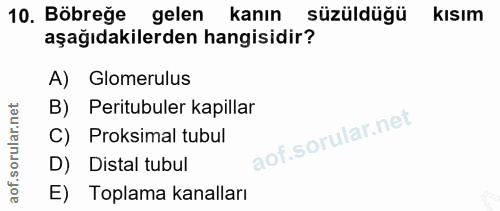 10. soru: Böbreğe gelen kanın süzüldüğü kısım aşağıdakilerden hangisidir? A) Glomerulus B) Peritubuler kapillar C) Proksimal tu…