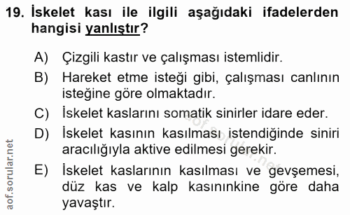 19. soru: İskelet kası ile ilgili aşağıdaki ifadelerden hangisi yanlıştır? A) Çizgili kastır ve çalışması istemlidir. B) Hareke…