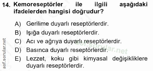 14. soru: Kemoreseptörler ile ilgili aşağıdaki ifadelerden hangisi doğrudur? A) Gerilime duyarlı reseptörlerdir. B) Işığa duyar…