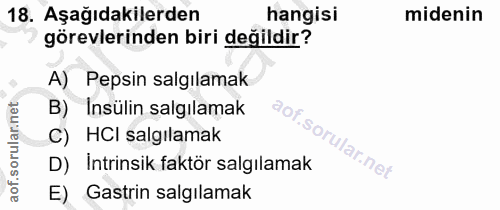 18. soru: Aşağıdakilerden hangisi midenin görevlerinden biri değildir? A) Pepsin salgılamak B) Insülin salgılamak C) HCI salgıl…