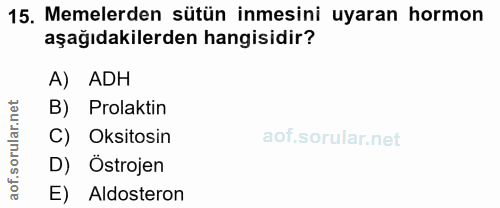 15. soru: Memelerden sütün inmesini uyaran hormon aşağıdakilerden hangisidir? A) ADH rular.net B) Prolaktin C) Oksitosin D) Öst…