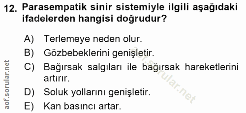 12. soru: Parasempatik sinir sistemiyle ilgili aşağıdaki ifadelerden hangisi doğrudur? A) Terlemeye neden olur. B) Gözbebekleri…