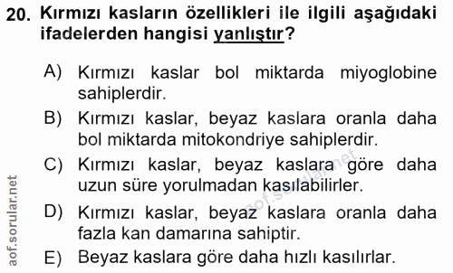 20. soru: Kırmızı kasların özellikleri ile ilgili aşağıdaki ifadelerden hangisi yanlıştır? A) Kırmızı kaslar bol miktarda miyog…