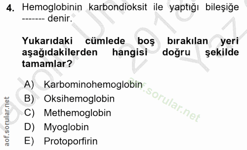 4. soru: Hemoglobinin karbondioksit ile yaptığı bileşiğe --- denir. Yukarıdaki cümlede boş bırakılan yeri aşağıdakilerden hang…