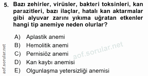 5. soru: Bazı zehirler, virüsler, bakteri toksinleri, kan parazitleri, bazı ilaçlar, hatalı kan aktarmalar gibi alyuvar zarını…