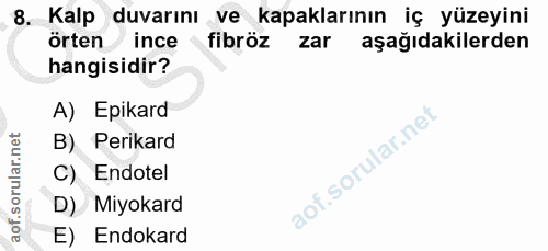8. soru: Kalp duvarını ve kapaklarının iş yüzeyini örten ince fibröz zar aşağıdakilerden hangisidir? A) Epikard B) Perikard C)…