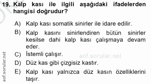 19. soru: Kalp kası ile ilgili aşağıdaki ifadelerden hangisi doğrudur? A) Kalp kası somatik sinirler ile idare edilir. B) Kalp…