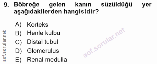 9. soru: Böbreğe gelen kanın süzüldüğü yer aşağıdakilerden hangisidir? A) Korteks B) Henle kulbu C) Distal tubul D) Glomerulus…