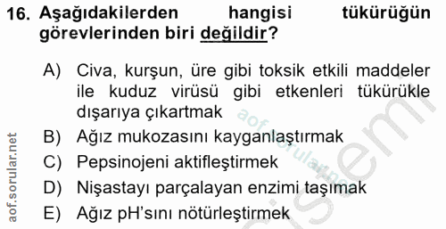 16. soru: Aşağıdakilerden hangisi tükürüğün görevlerinden biri değildir? A) Civa, kurşun, üre gibi toksik etkili maddeler ile k…