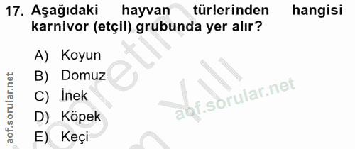 17. soru: Aşağıdaki hayvan türlerinden hangisi karnivor (etçil) grubunda yer alır? A) Koyun B) Domuz C) Inek D) Köpek E) Keçi