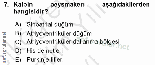 7. soru: Kalbin peysmakerı aşağıdakilerden hangisidir? A) Sinoatrial düğüm B) Atriyoventriküler düğüm C) Atriyoventriküler dal…