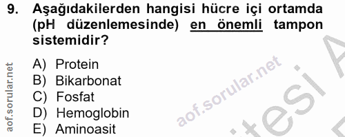 9. soru: Aşağıdakilerden hangisi hücre içi ortamda (pH düzenlemesinde) en önemli tampon sistemidir? A) Protein B) Bikarbonat C…