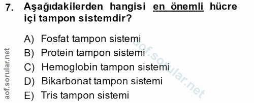 7. soru: Aşağıdakilerden hangisi en önemli hücre içi tampon sistemdir? A) Fosfat tampon sistemi B) Protein tampon sistemi C) H…