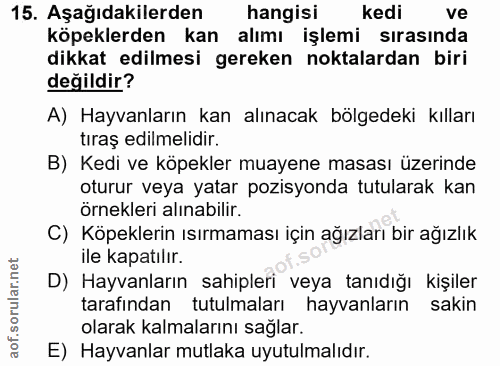 15. soru: Aşağıdakilerden hangisi kedi ve köpeklerden kan alımı işlemi sırasında dikkat edilmesi gereken noktalardan biri değil…