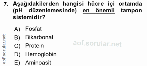 7. soru: Aşağıdakilerden hangisi hücre içi ortamda (pH düzenlemesinde) en önemli tampon sistemidir? A) Fosfat B) Bikarbonat C)…