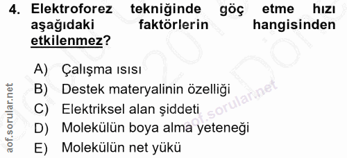 4. soru: Elektroforez tekniğinde göç etme hizı aşağıdaki faktörlerin hangisinden etkilenmez? A) Çalışma ISısı B) Destek matery…