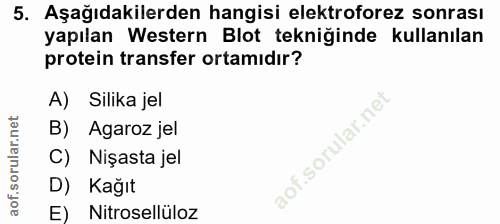 5. soru: Aşağıdakilerden hangisi elektroforez sonrası yapılan Western Blot tekniğinde kullanılan protein transfer ortamıdır? A…