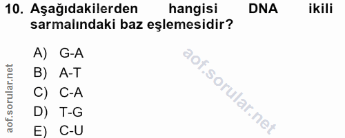 10. soru: Aşağıdakilerden hangisi DNA ikili sarmalındaki baz eşlemesidir? A) G-A B) A-T C) C-A D) T-G E) C-U