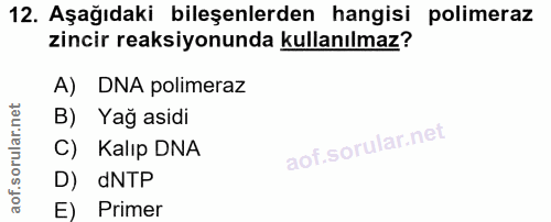 12. soru: Aşağıdaki bileşenlerden hangisi polimeraz zincir reaksiyonunda kullanılmaz? A) DNA polimeraz B) Yağ asidi C) Kalıp DN…