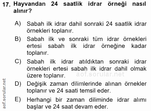 17. soru: Hayvandan 24 saatlik idrar örneği nasıl alınır? A) Sabah ilk idrar dahil sonraki 24 saatlik idrar örnekleri toplanır.…