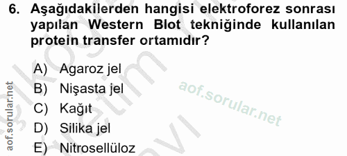 6. soru: Aşağıdakilerden hangisi elektroforez sonrası yapılan Western Blot tekniğinde kullanılan protein transfer ortamıdır? A…