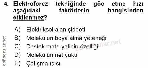 4. soru: Elektroforez tekniğinde göç etme hizı aşağıdaki faktörlerin hangisinden etkilenmez? A) Elektriksel alan şiddeti B) Mo…