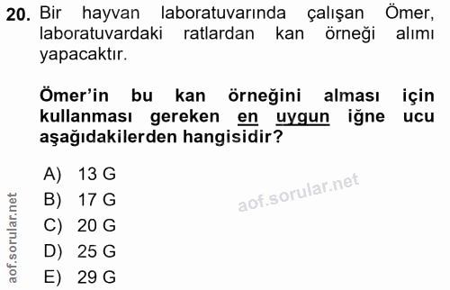 20. soru: Bir hayvan laboratuvarında çalışan Ömer, laboratuvardaki atlardan kan örneği alımı yapacaktır. Ömer'in bu kan örneğin…