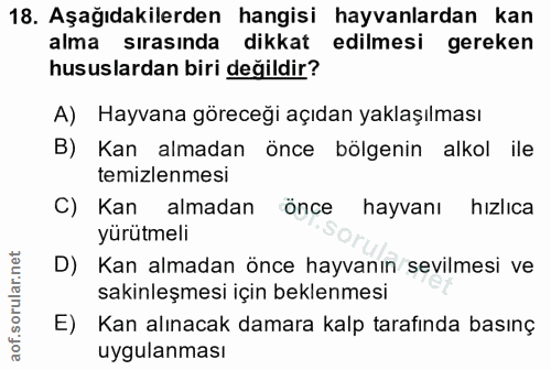 18. soru: Aşağıdakilerden hangisi hayvanlardan kan alma sırasında dikkat edilmesi gereken hususlardan biri değildir? A) Hayvana…