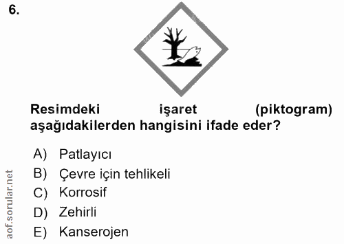 6. soru: Resimdeki işaret (piktogram) aşağıdakilerden hangisini ifade eder? A) Patlayıcı B) Çevre için tehlikeli C) Korrosif D…