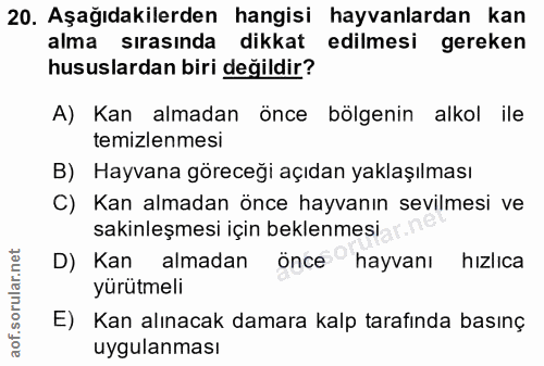 20. soru: Aşağıdakilerden hangisi hayvanlardan kan alma sırasında dikkat edilmesi gereken hususlardan biri değildir? A) Kan alm…