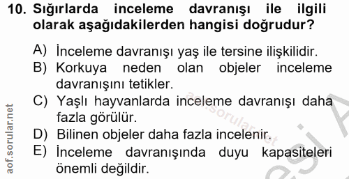 10. soru: Sığırlarda inceleme davranışı ile ilgili olarak aşağıdakilerden hangisi doğrudur? A) Inceleme davranışı yaş ile tersi…