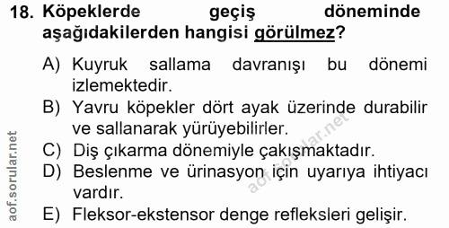 18. soru: Köpeklerde geçiş döneminde aşağıdakilerden hangisi görülmez? A) Kuyruk sallama davranışı bu dönemi izlemektedir. B) Y…