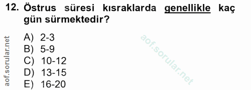 12. soru: Östrus süresi kısraklarda genellikle kaç gün sürmektedir? A) 2-3 B) 5-9 C) 10-12 D) 13-15 E) 16-20