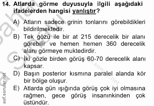 14. soru: Atlarda görme duyusuyla ilgili aşağıdaki ifadelerden hangisi yanlıştır? A) Atların sadece grinin tonlarını görebildik…