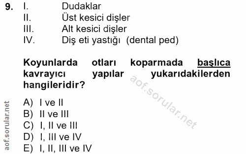 9. soru: 1. Dudaklar II. Ust kesici dişler III. Alt kesici dişler IV. Diş eti yastığı (dental ped) Koyunlarda otları koparmada…