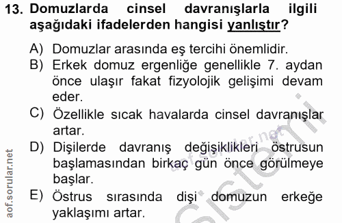 13. soru: Domuzlarda cinsel davranışlarla ilgili aşağıdaki ifadelerden hangisi yanlıştır? A) Domuzlar arasında eş tercihi öneml…
