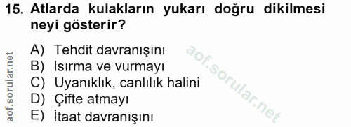 15. soru: Atlarda kulakların yukarı doğru dikilmesi neyi gösterir? A) Tehdit davranışını B) Isırma ve vurmayı C) Uyanıklık, can…