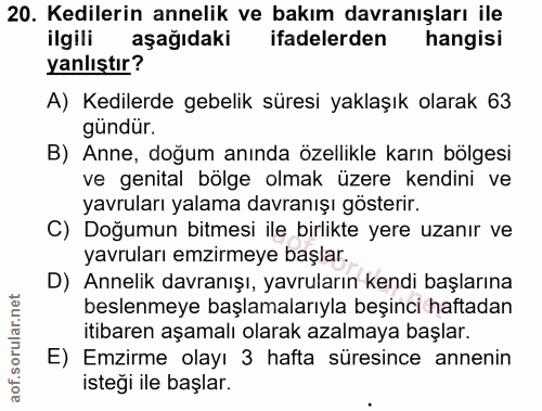 20. soru: Kedilerin annelik ve bakım davranışları ile ilgili aşağıdaki ifadelerden hangisi yanlıştır? A) Kedilerde gebelik süre…