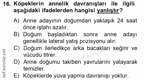 16. soru: Köpeklerin annelik davranışları ile ilgili aşağıdaki ifadelerden hangisi yanlıştır? A) Anne adayının doğumdan yaklaşı…
