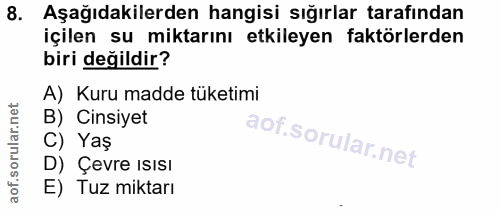 8. soru: Aşağıdakilerden hangisi sığırlar tarafından içilen su miktarını etkileyen faktörlerden biri değildir? A) Kuru madde t…